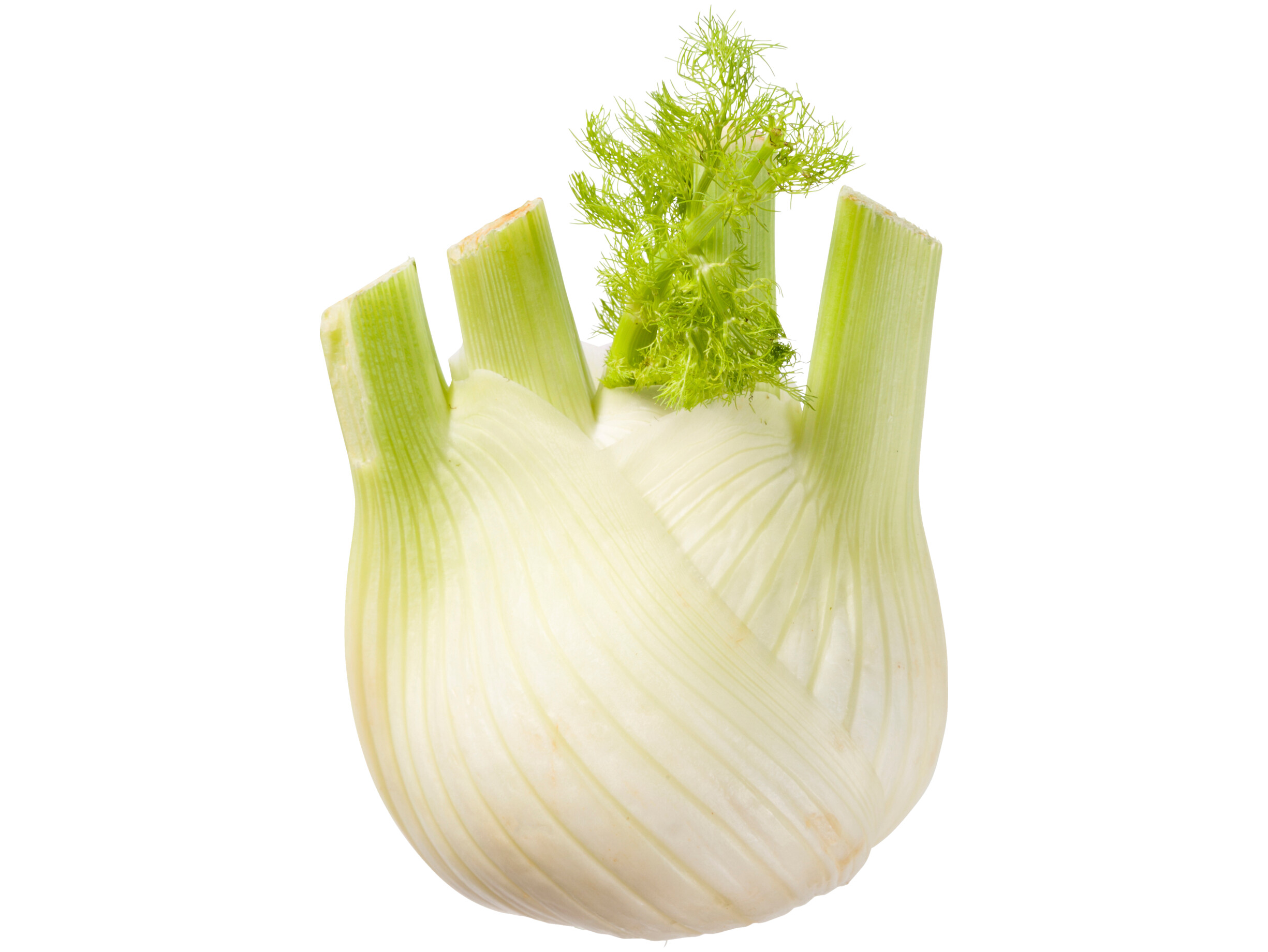 Venkel