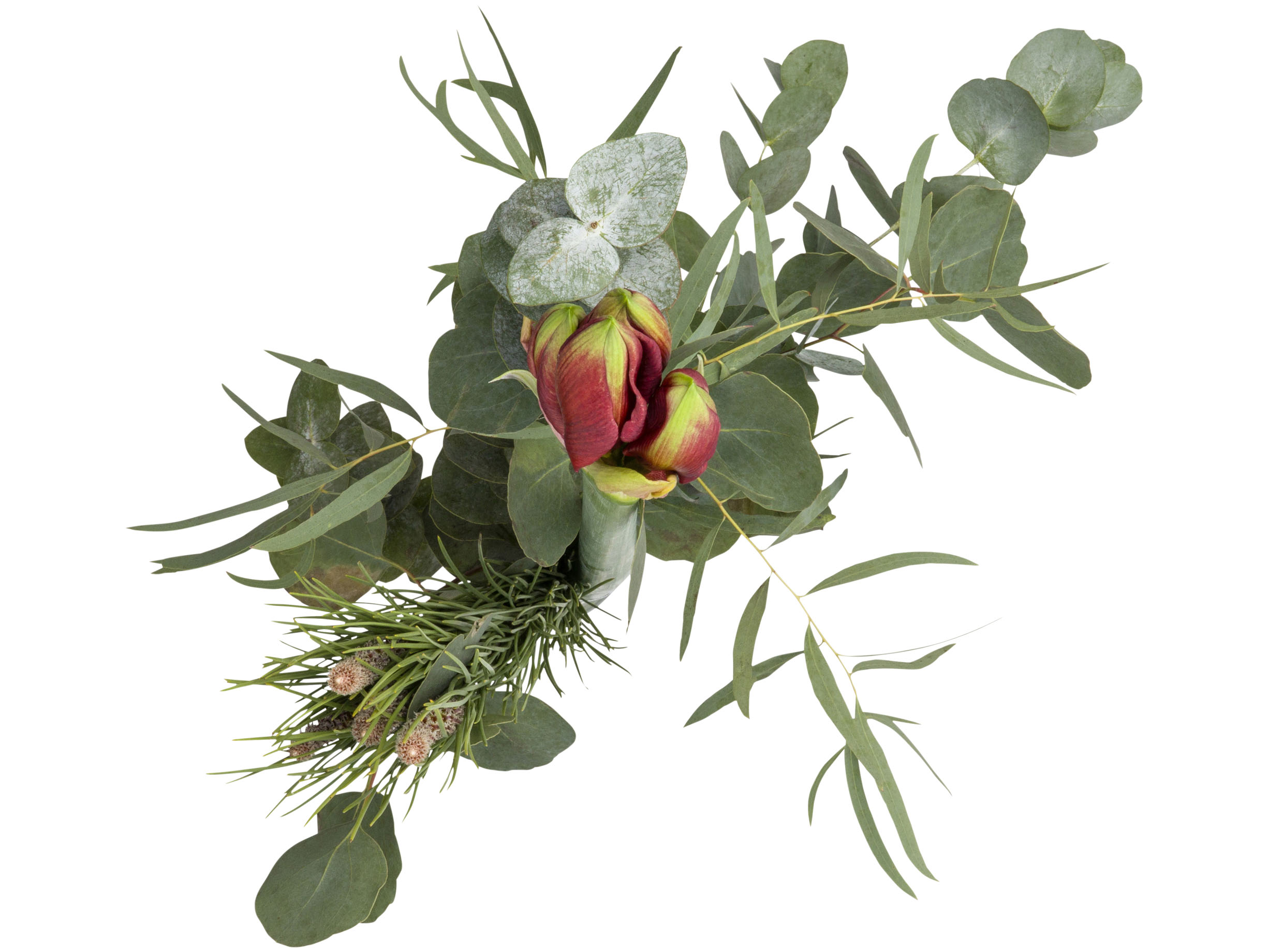 Amaryllis boeket