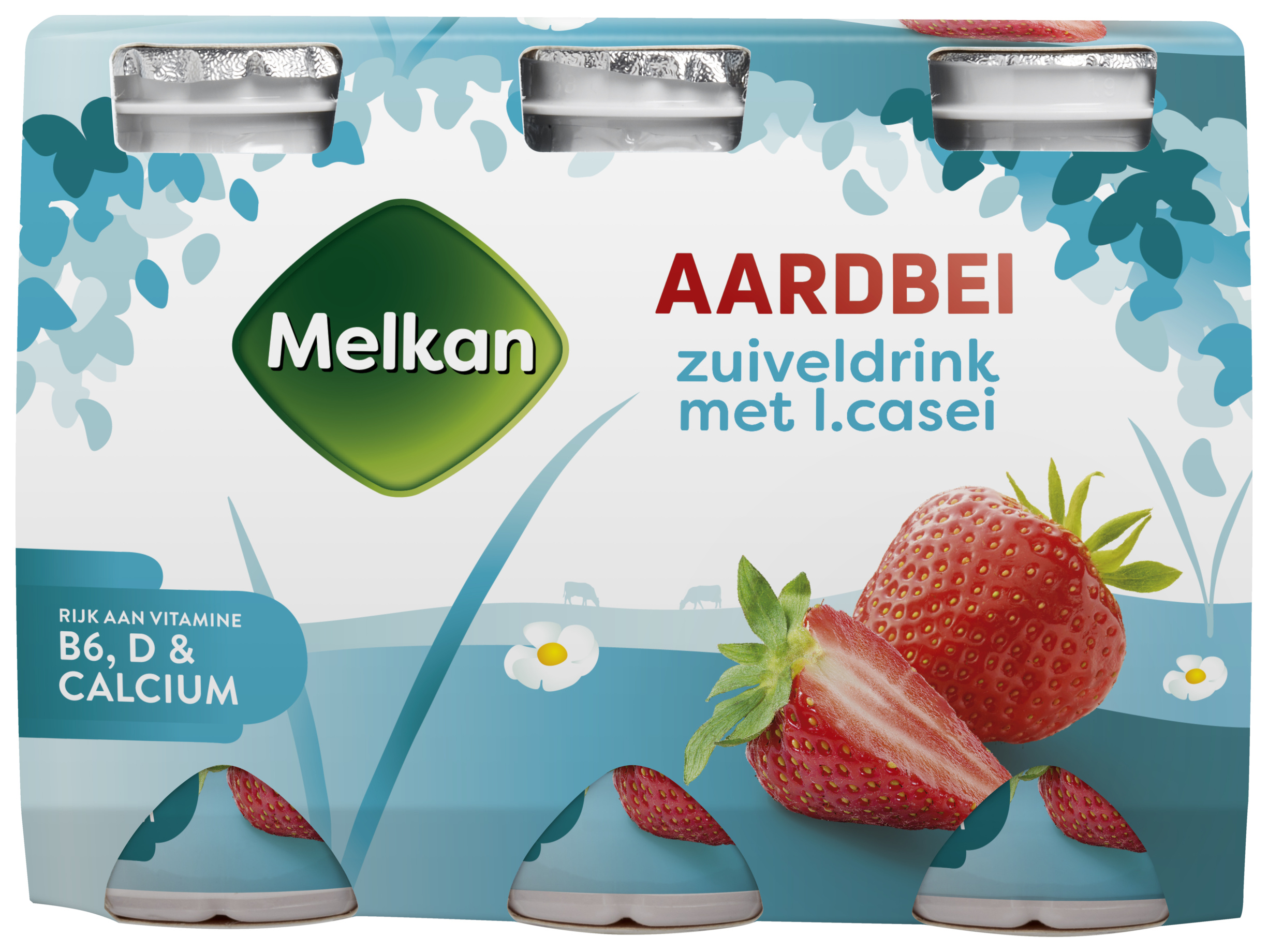 Probiotische zuiveldrink aardbei