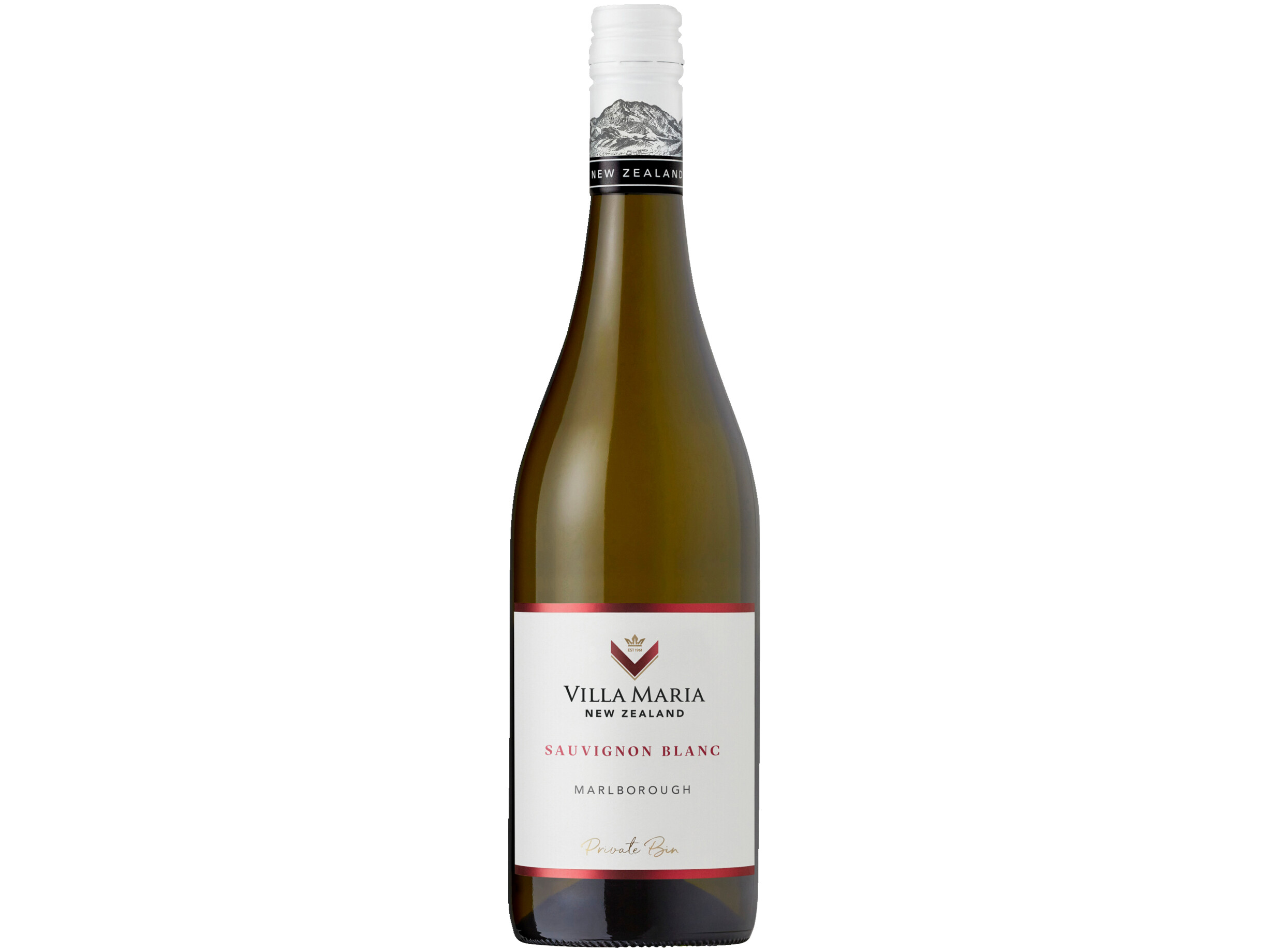 Sauvignon blanc
