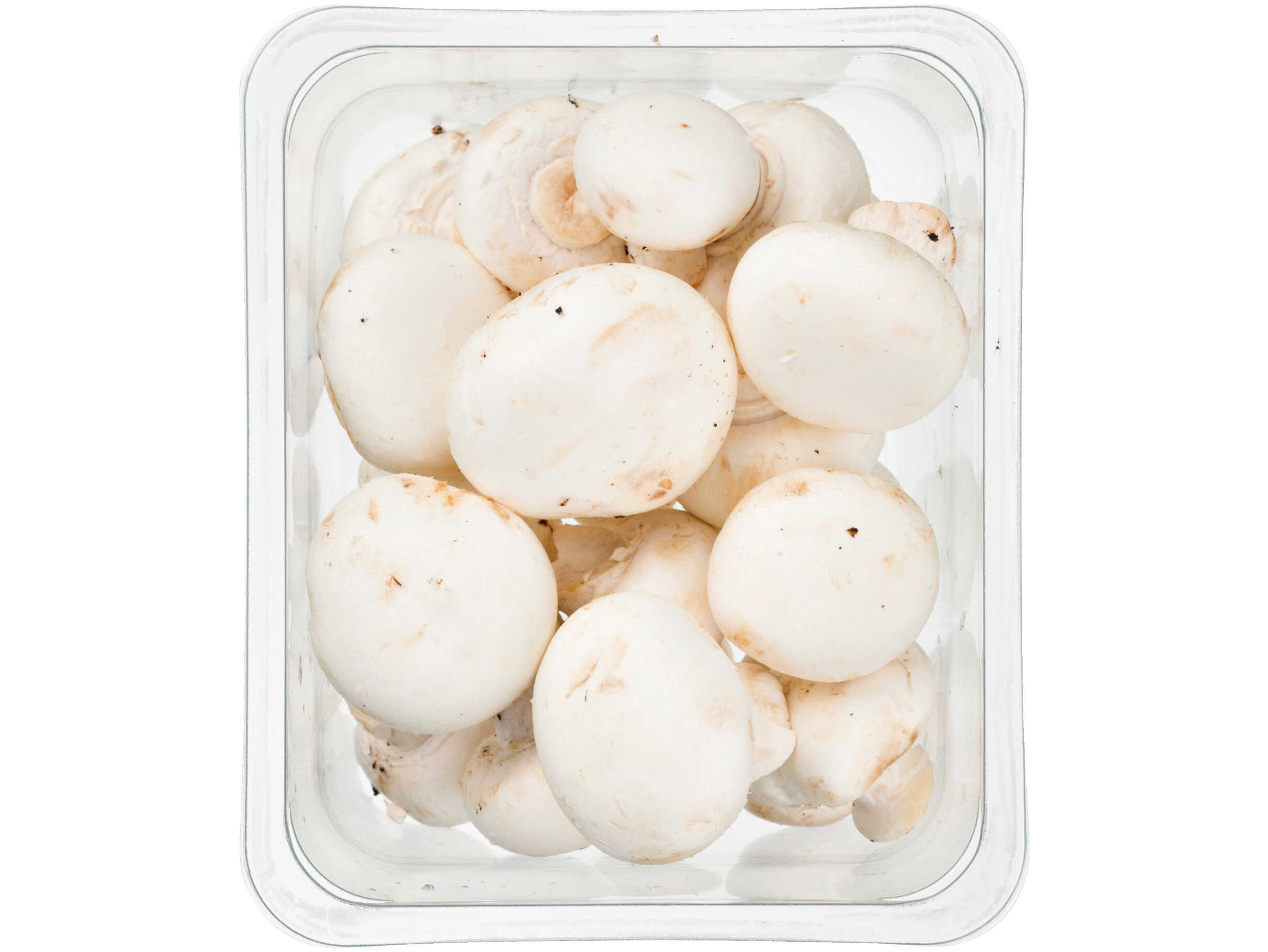 Champignons