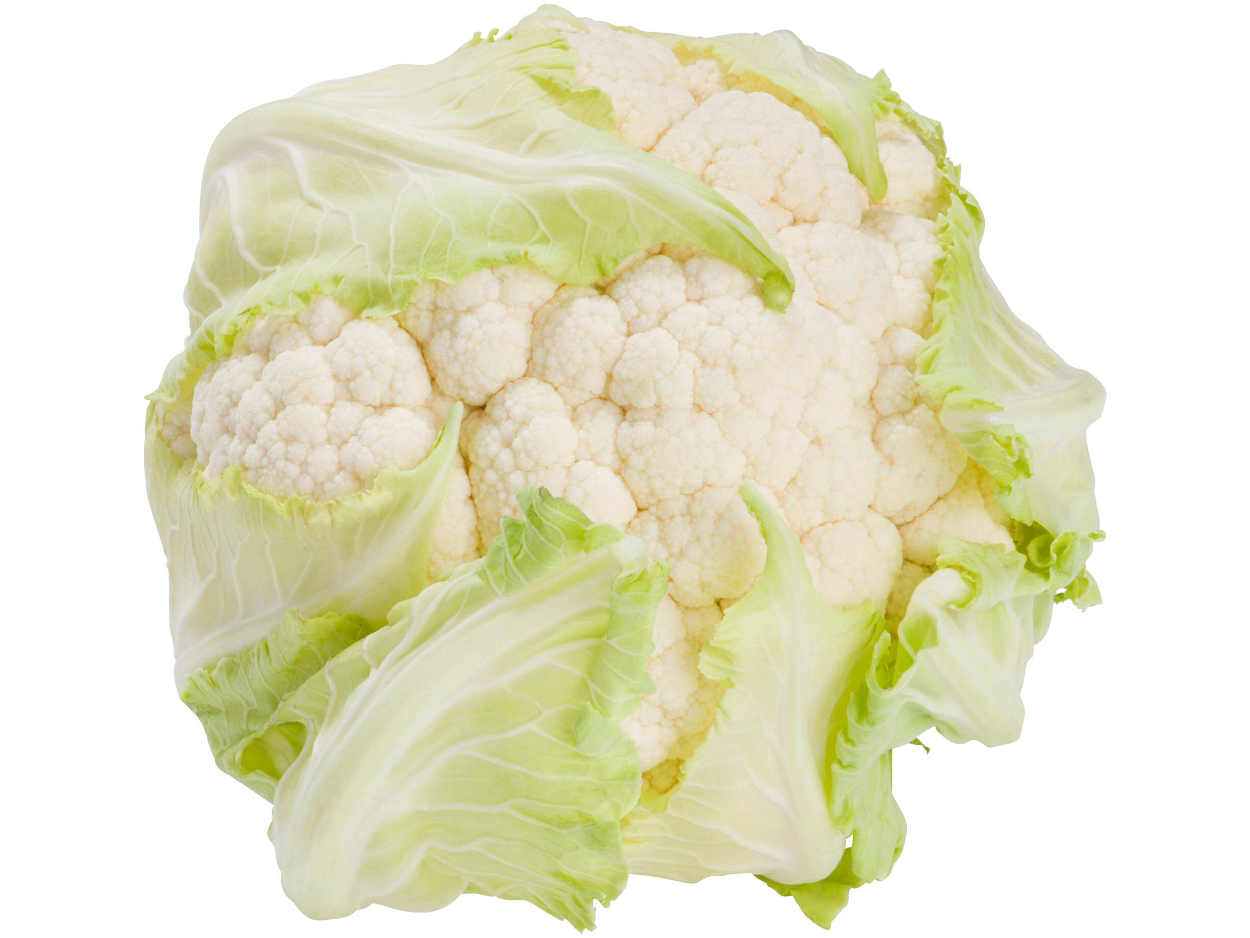 Bloemkool
