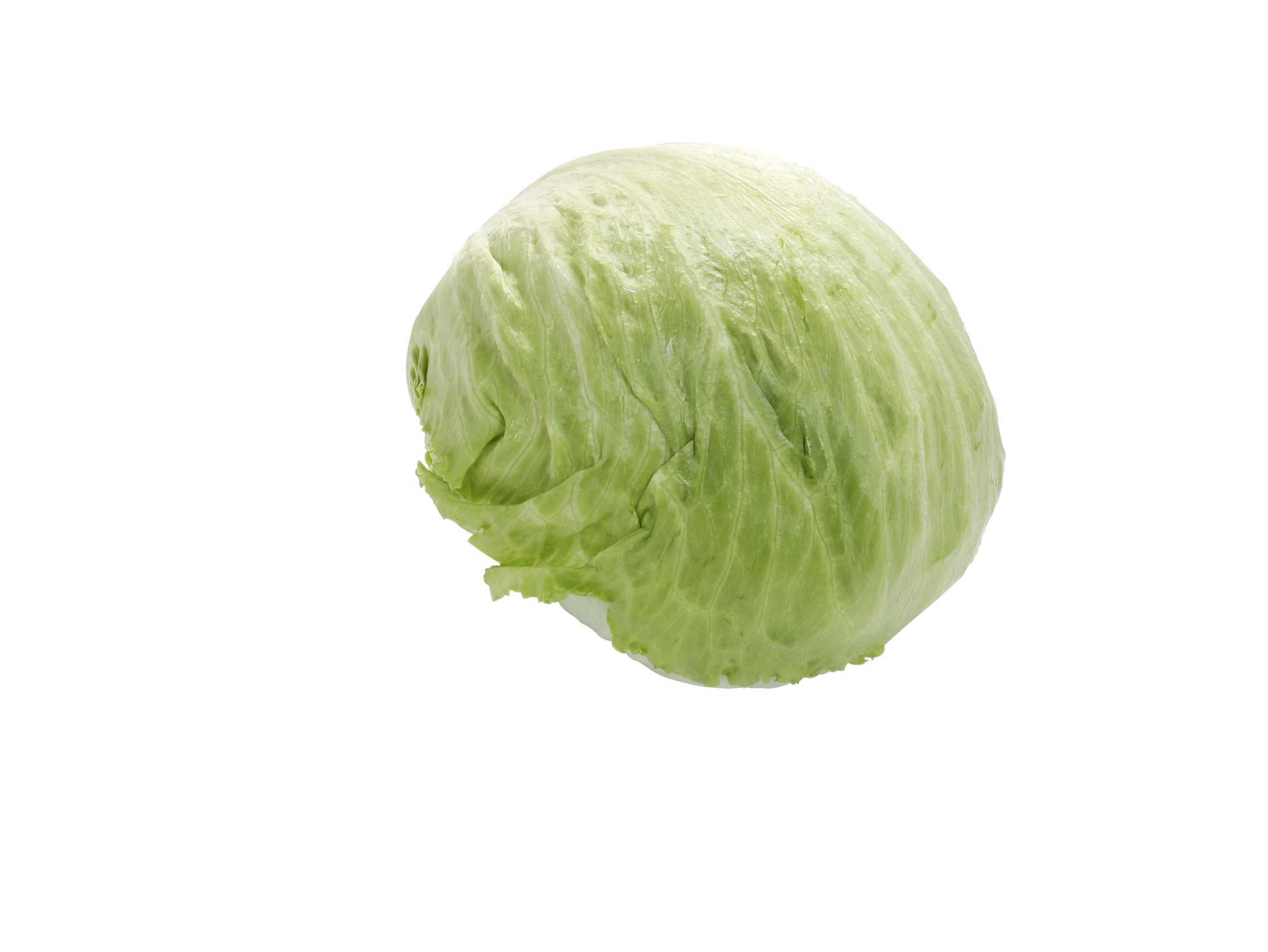 IJsbergsla