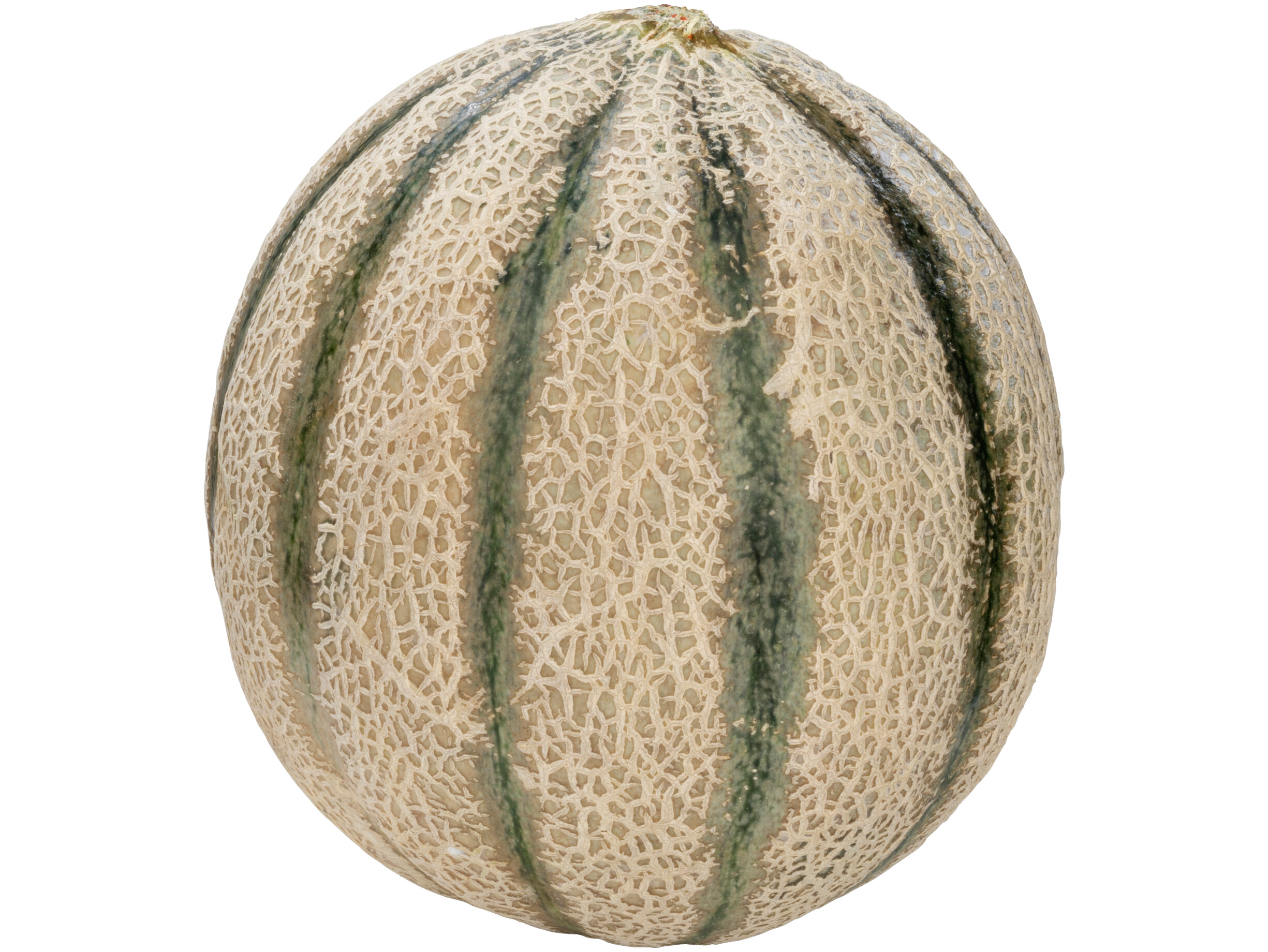 Cantaloupe meloen
