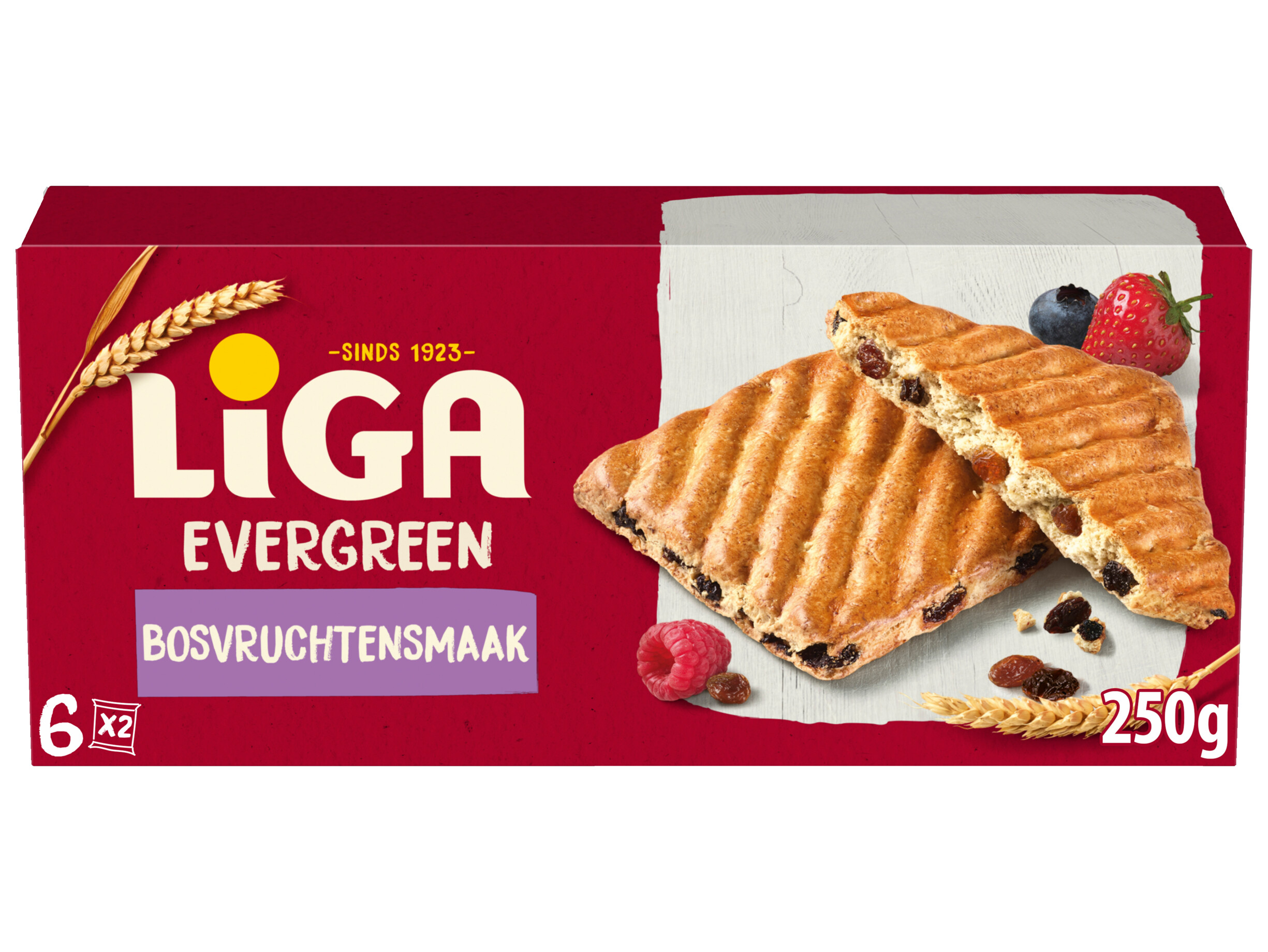 Evergreen bosvruchten