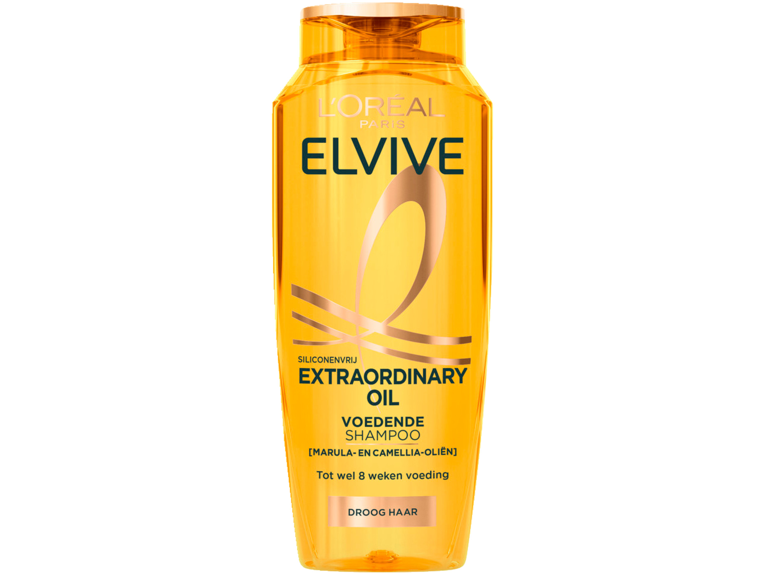 Shampoo textra ordinary oil