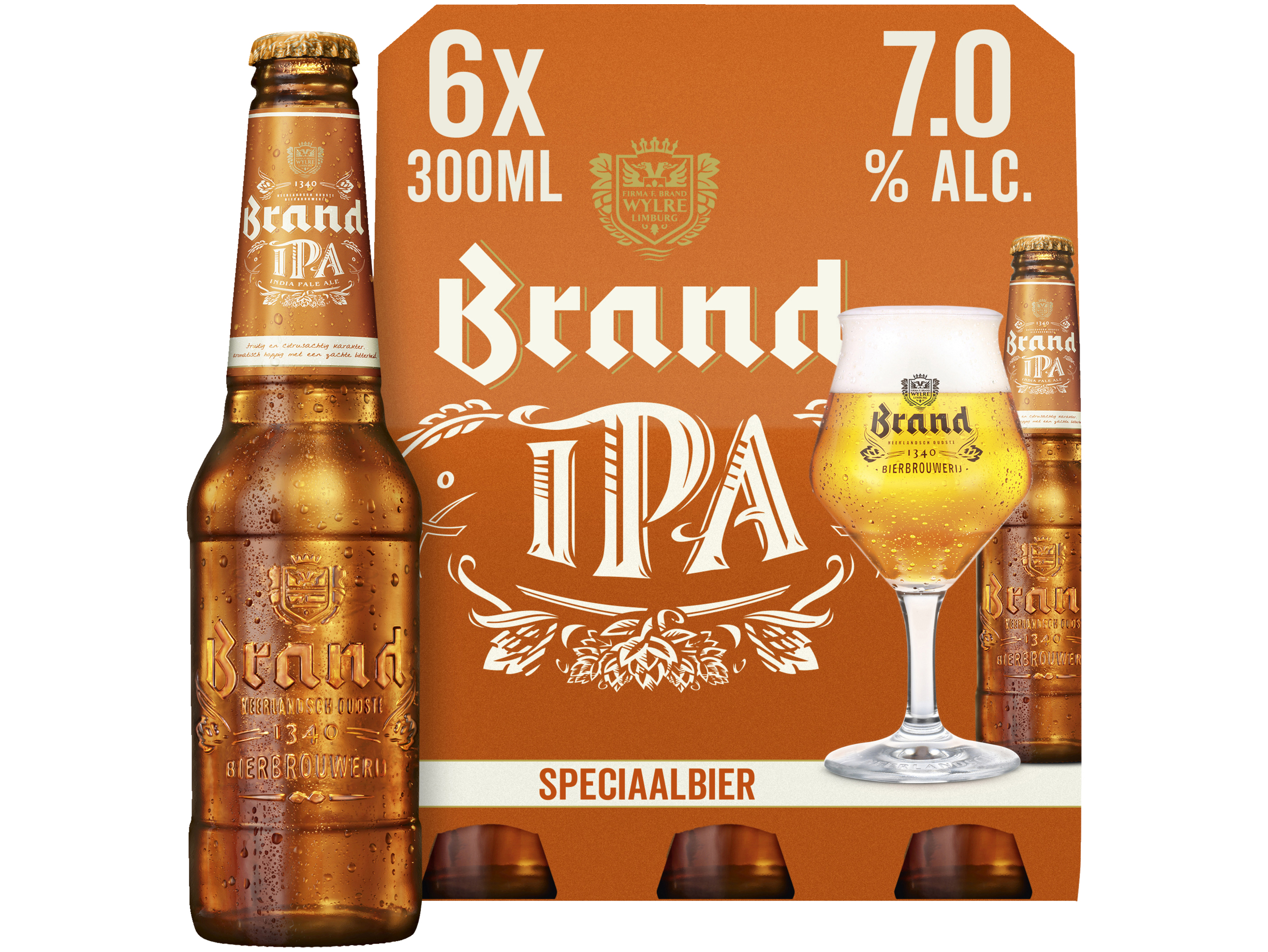 IPA Bier Fles 6-pack