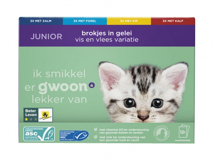Junior kattenbrokjes in gelei