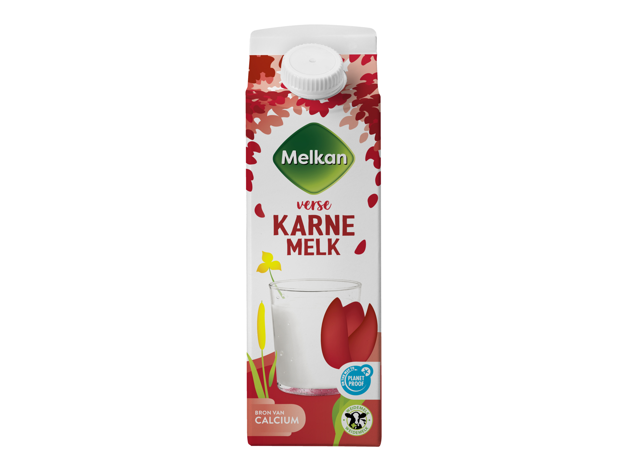 Verse karnemelk