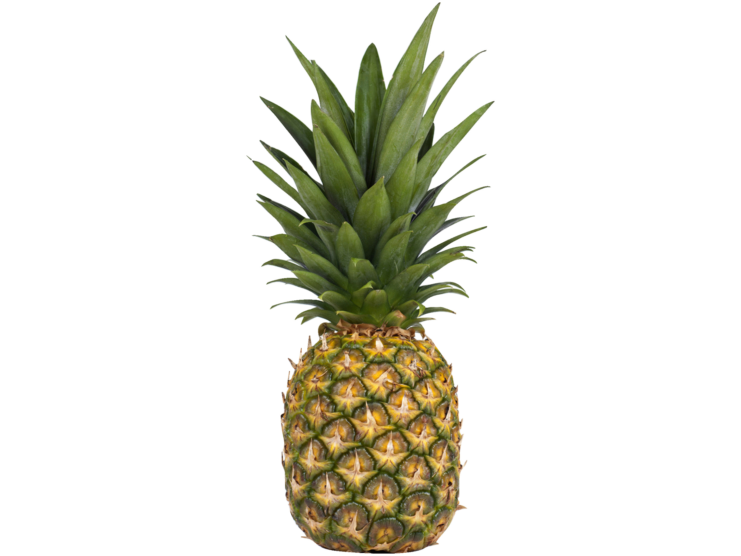 Ananas