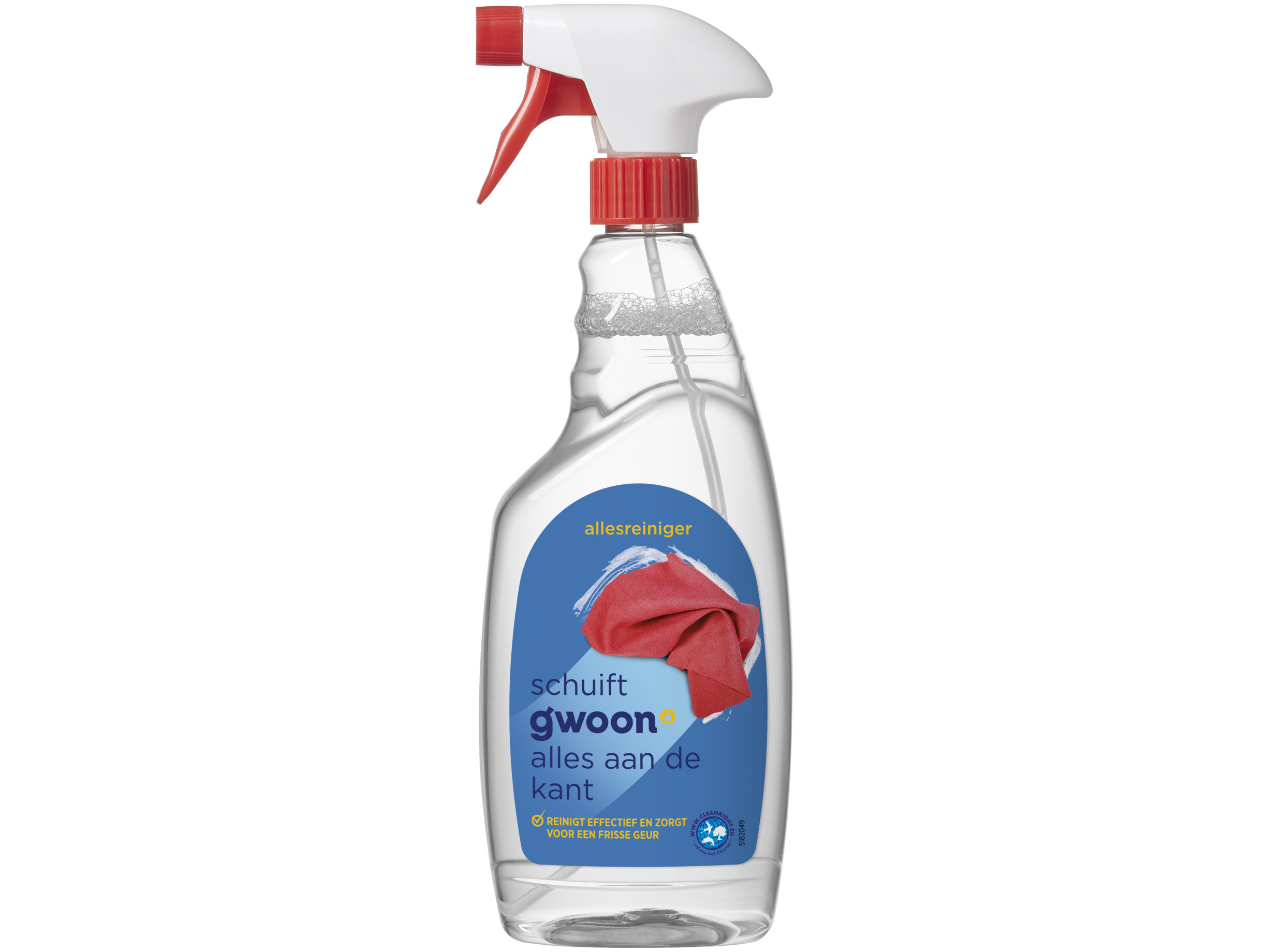 Allesreiniger spray