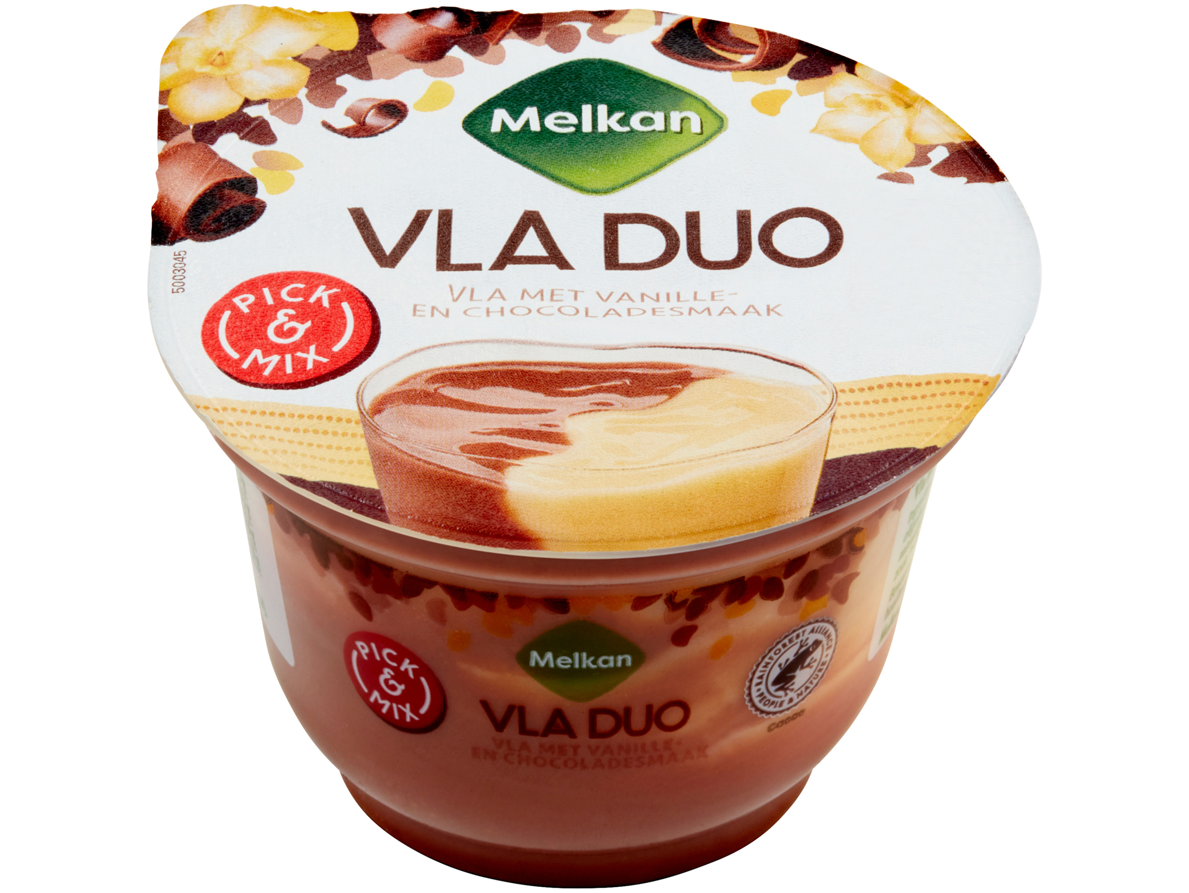 Vla duo