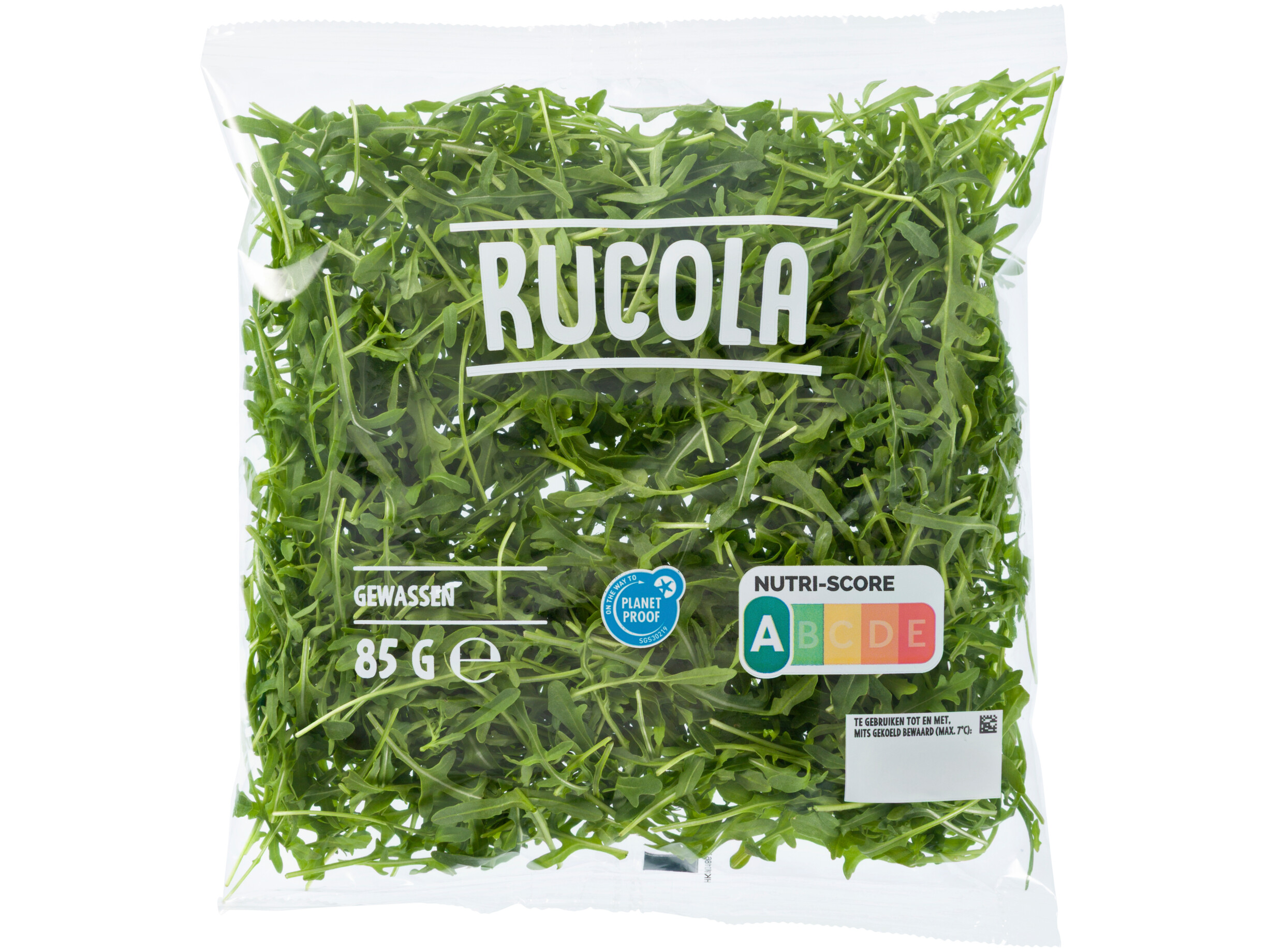 Rucola