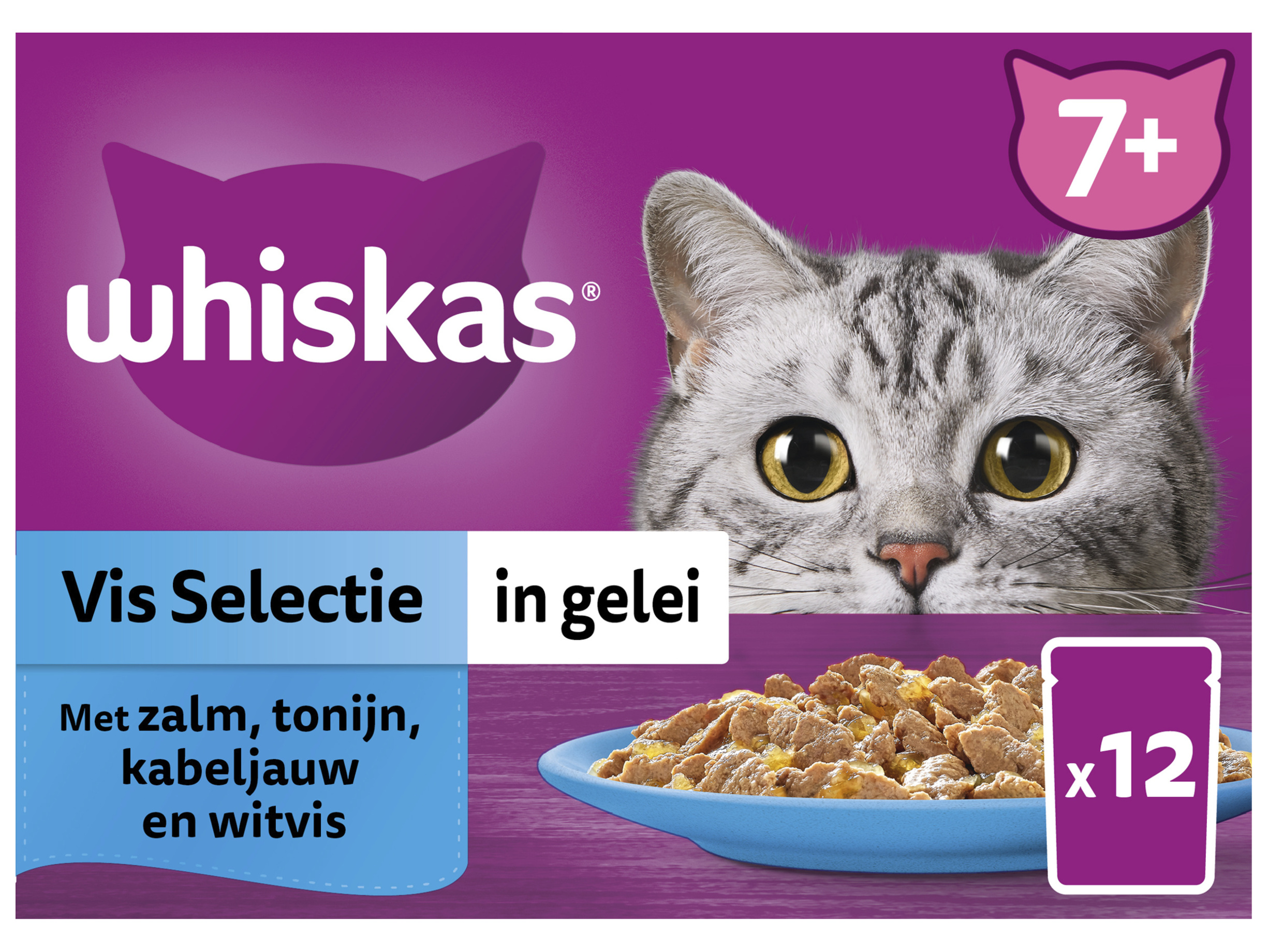 Vis selectie in gelei senior