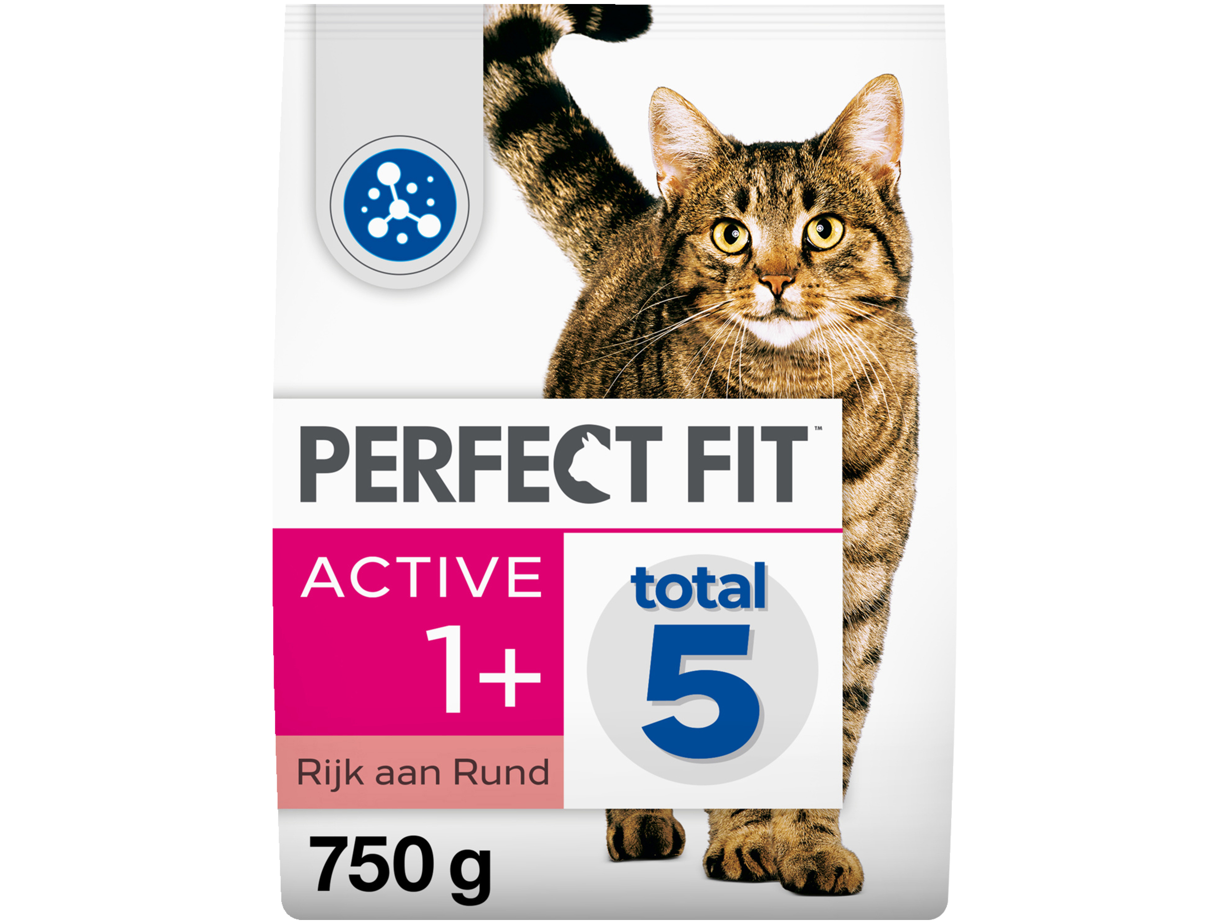 Droogvoer active 1+ rund