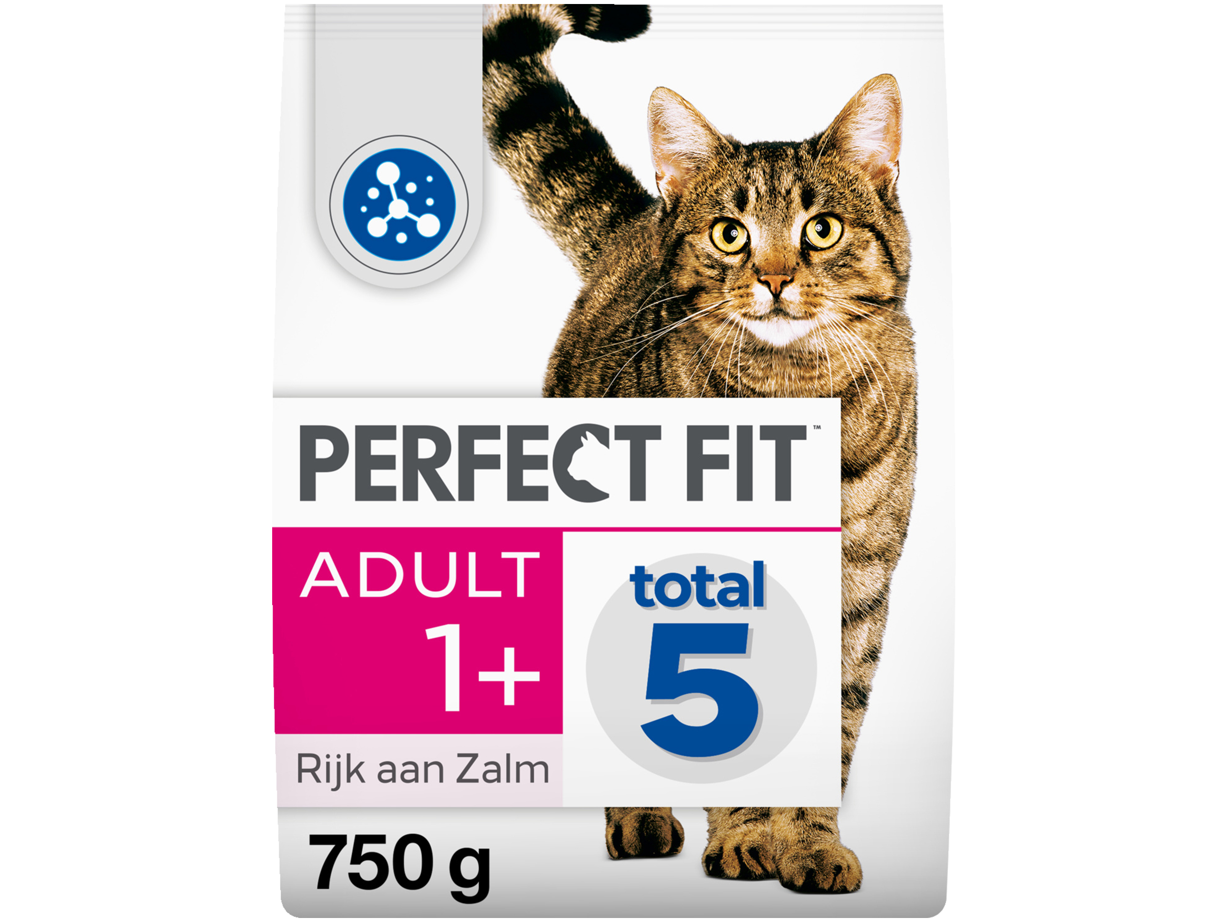 Droogvoer adult 1+ zalm