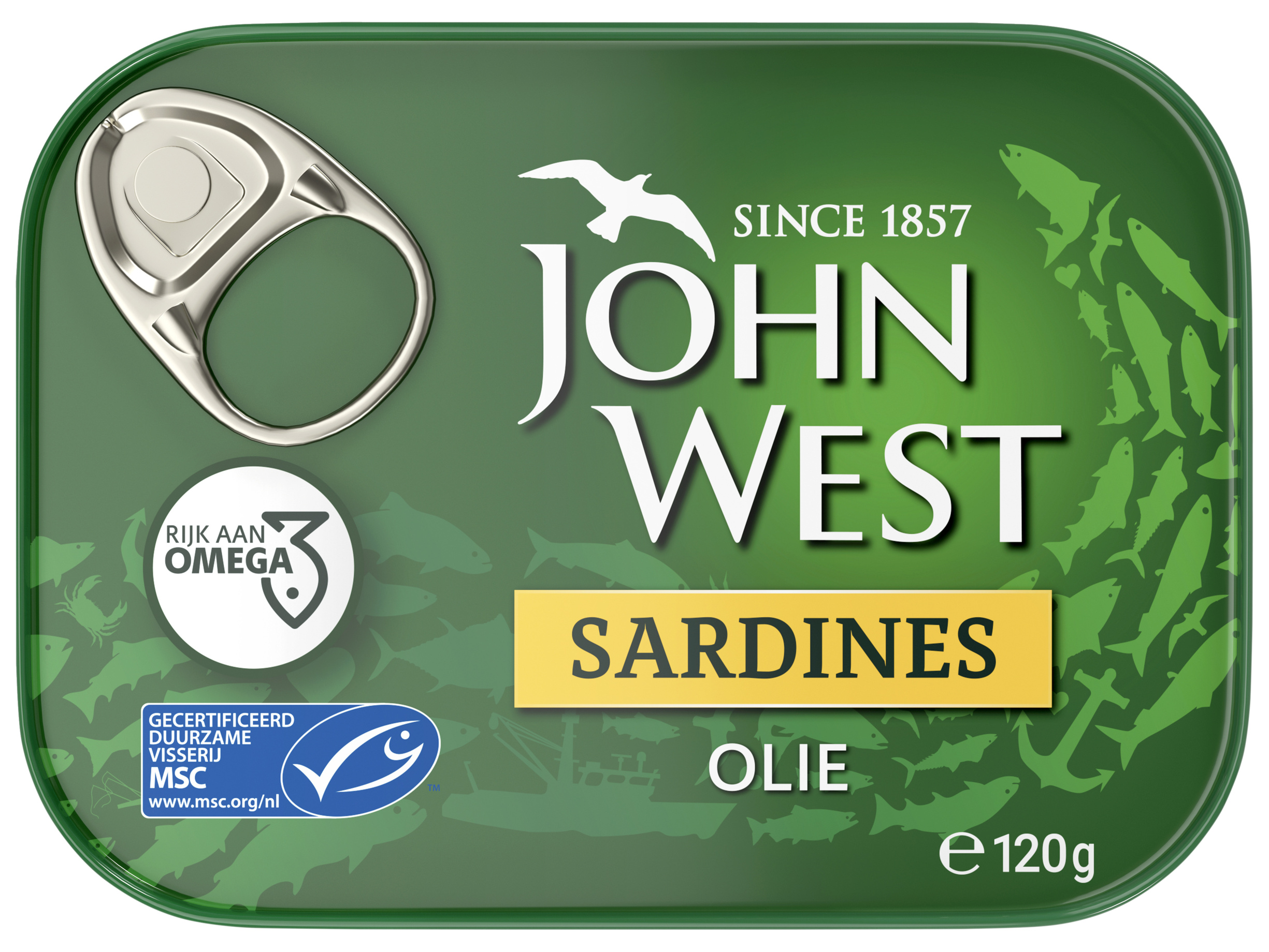 Sardines in zonnebloemolie