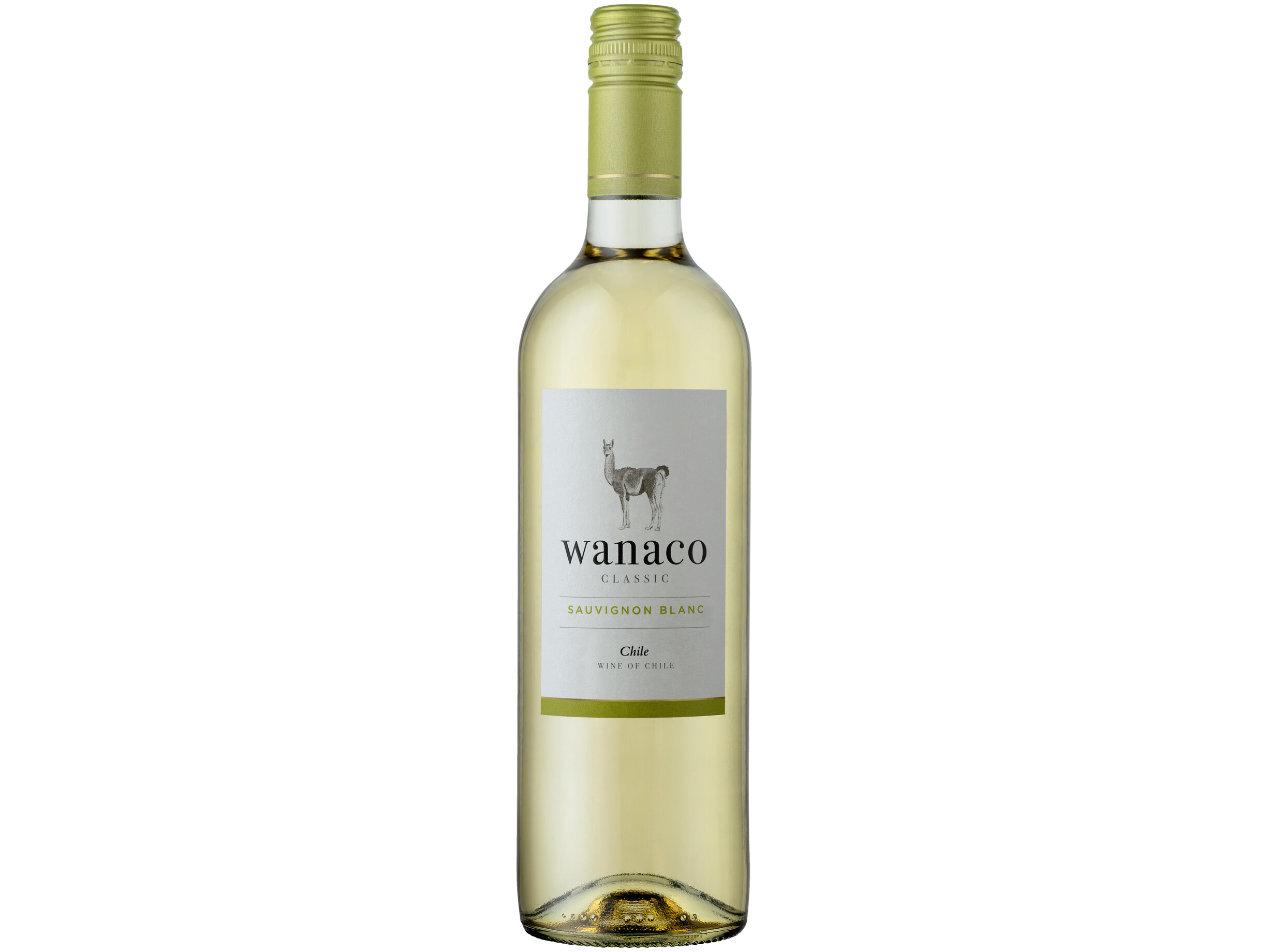 Sauvignon blanc