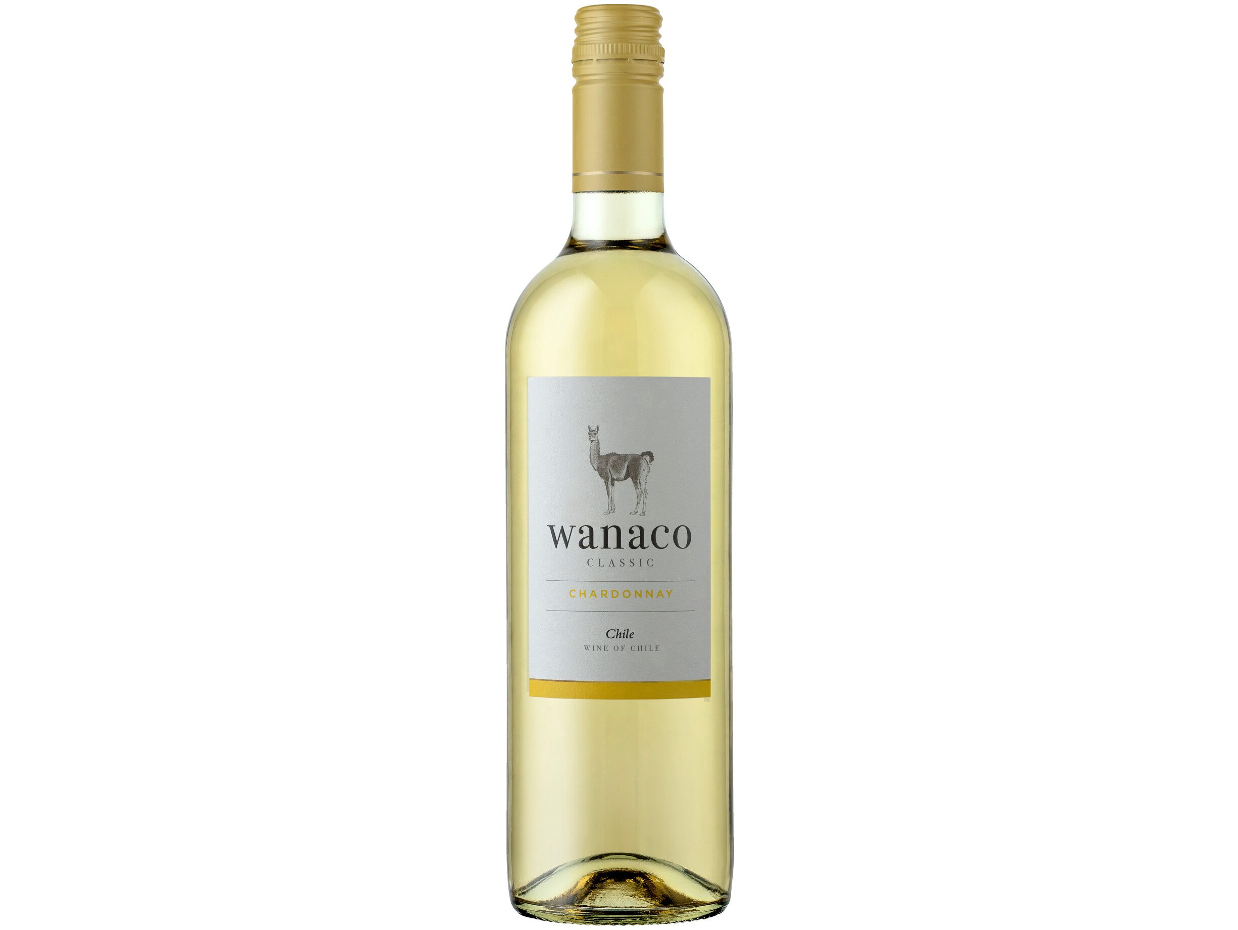 Chardonnay
