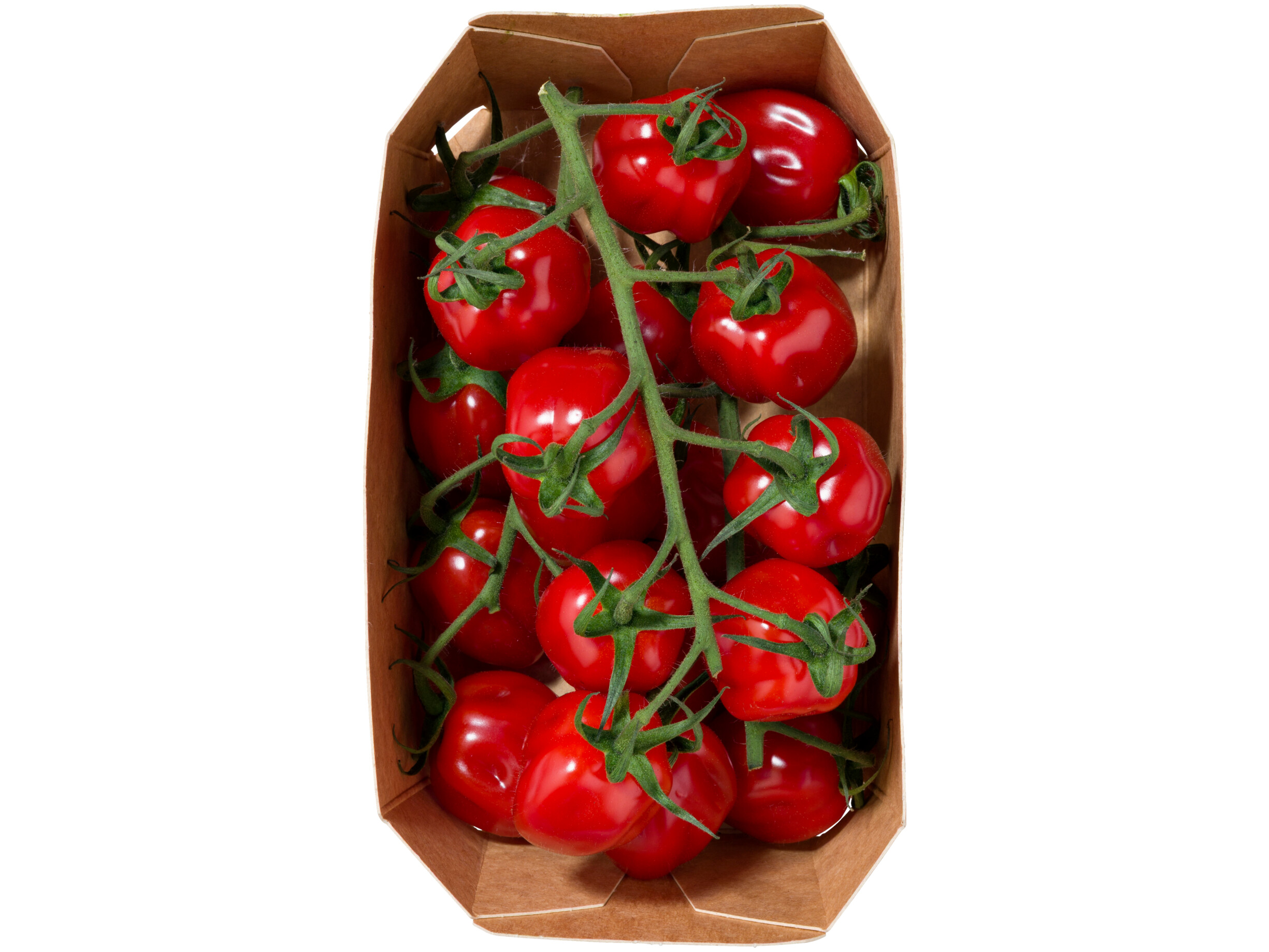Cherry pruim tros tomaten