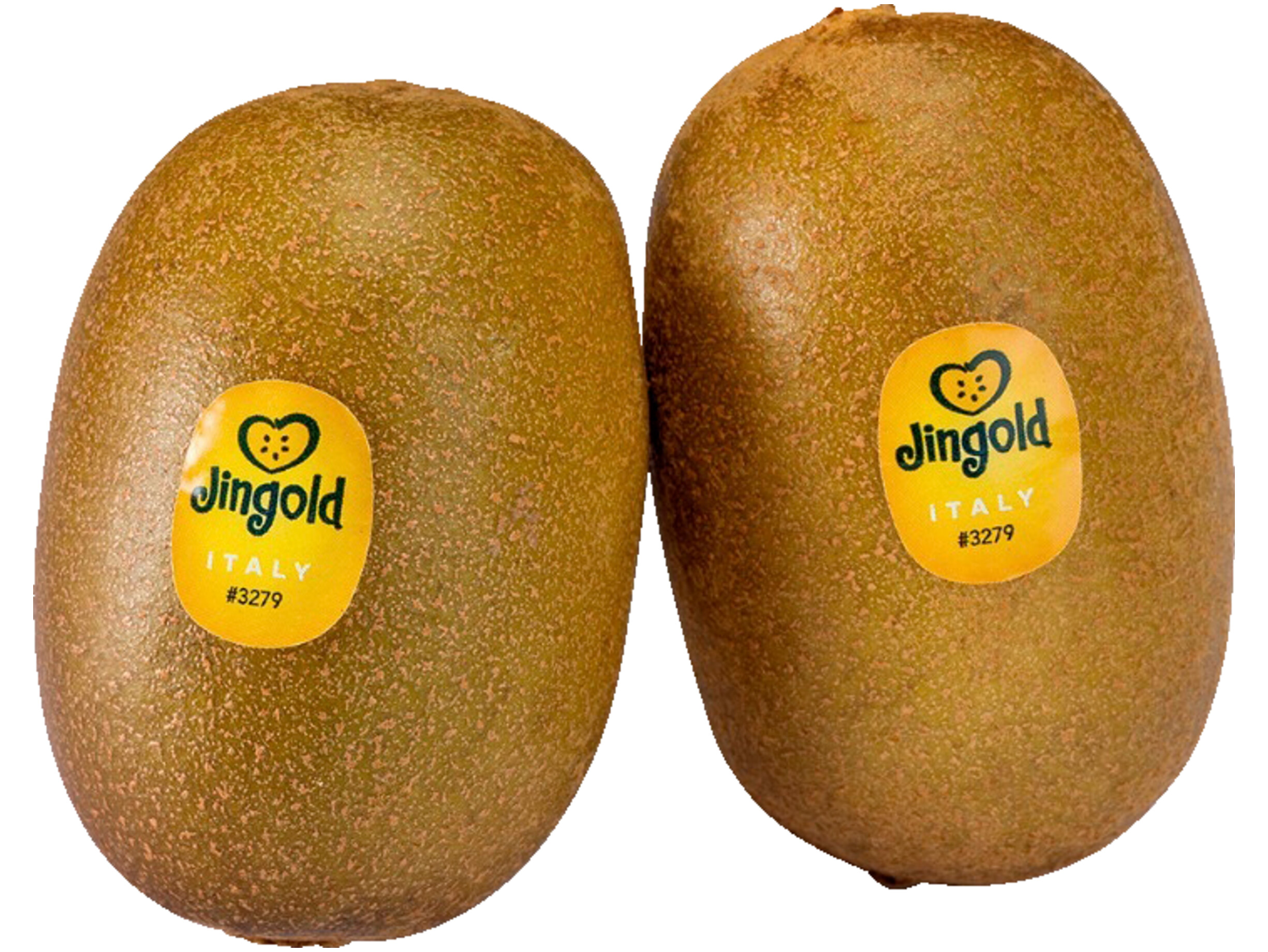 Kiwi jingold