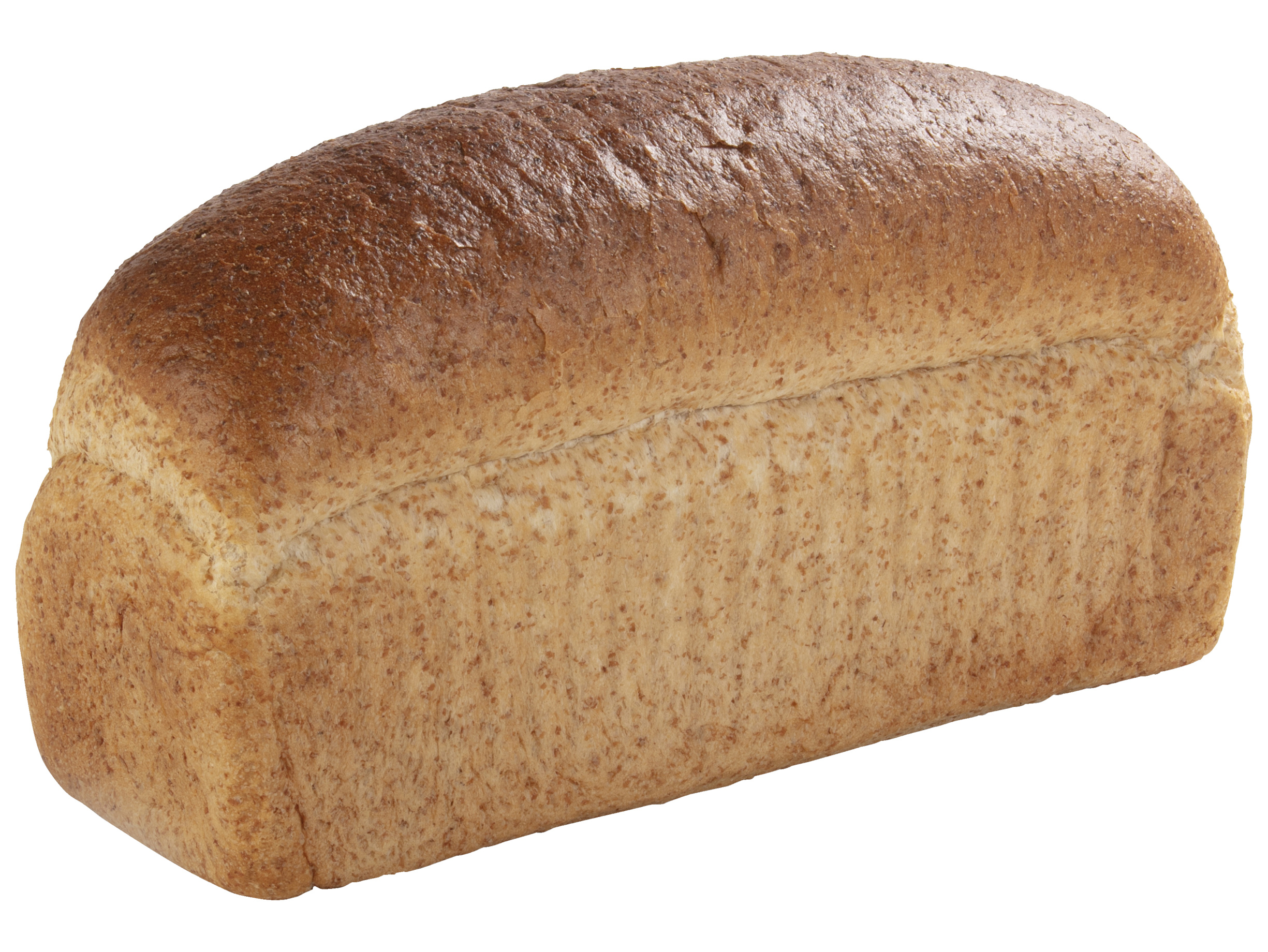 Hoogvliet bruin